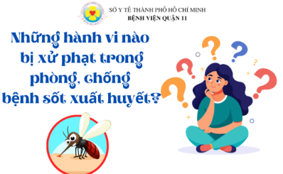 (HCDC) Những hành vi nào bị xử phạt trong phòng, chống bệnh sốt xuất huyết?